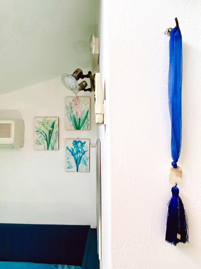 Al Vecchio Pioppo Bed & Breakfast Praia a Mare Exterior photo